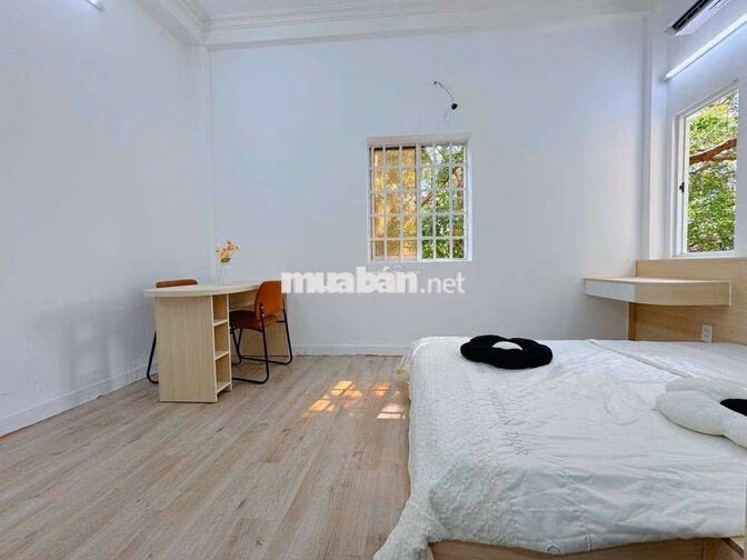 🧧CHDV PHAN XÍCH LONG - HOÀNG SA TRƯỜNG SAO