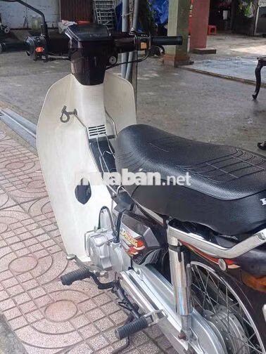 Honda Dream Super Trắng, Nâu