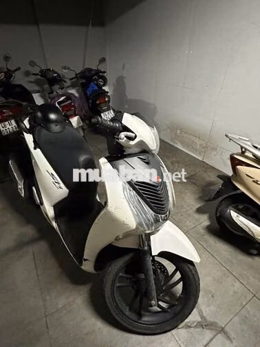 SH 150i Việt Nam 2013