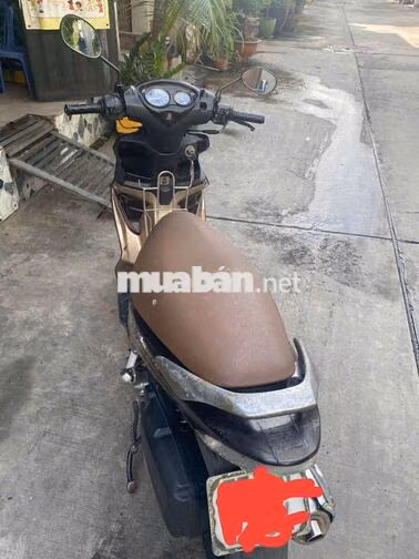 Suzuki Hayate Nâu Xe tay ga