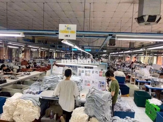 xưởng 6000m giá 295 triệu pccc đường content 40f Hóc Môn
