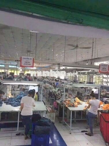 xưởng 6000m giá 295 triệu pccc đường content 40f Hóc Môn