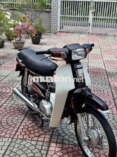 Honda citi nhật lên dream