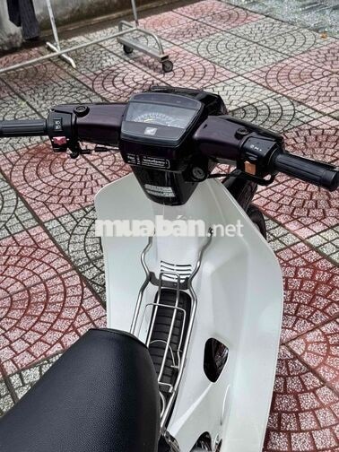Honda citi nhật lên dream