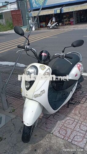 SYM Elite 50 2022 Trắng