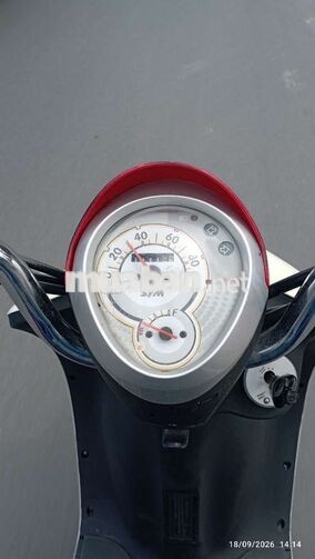 SYM Elite 50 2022 Trắng