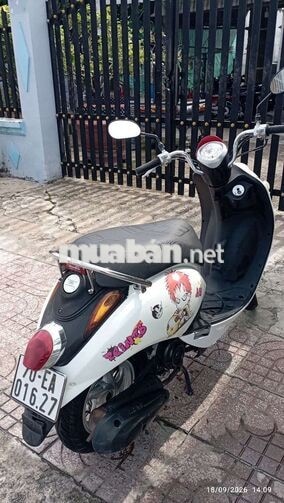 SYM Elite 50 2022 Trắng