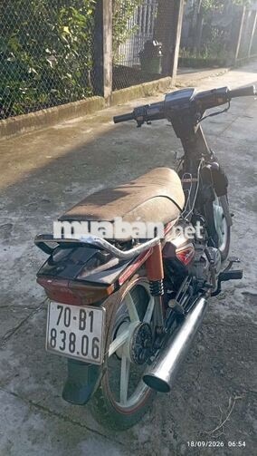 Honda Dream TQ Nâu Khô êm mạnh