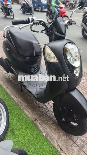 SYM Elite 50cc 2019 bs 36aa-66660