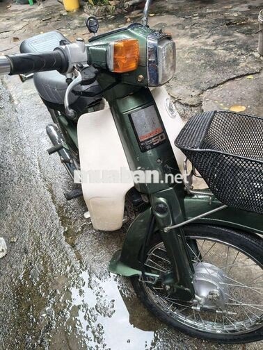 Honda Super Cub 50 Cổ điển Xanh lá