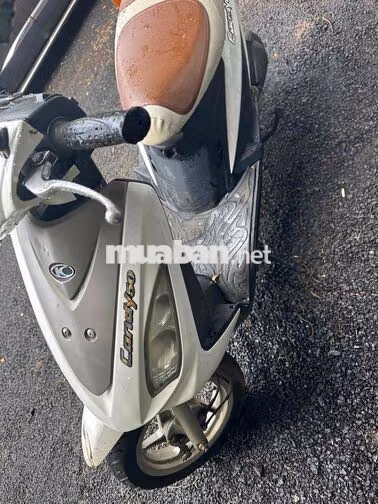 Kymco Candy 50 Trắng
