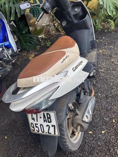 Kymco Candy 50 Trắng