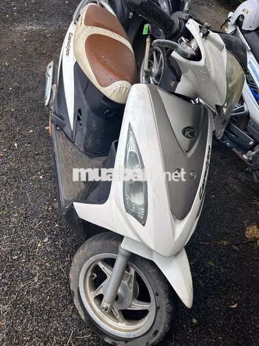 Kymco Candy 50 Trắng