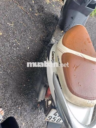 Kymco Candy 50 Trắng