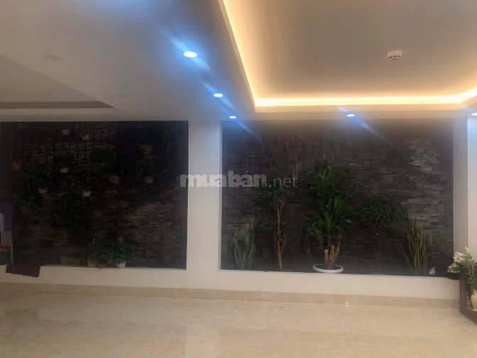 CHO THUÊ VĂN PHÒNG- SPA- STUDIO PHỐ LÝ NAM ĐẾ- THANG MÁY- NGÕ ÔTÔ
