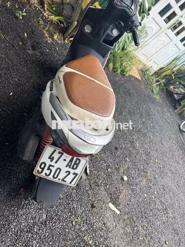 Kymco Candy 50 Trắng