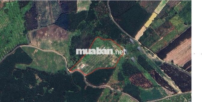 Bán gấp 3 lô đất trồng cây cạnh nhau, mỗi lô ~22,989 m2, Hàm Tân, BT