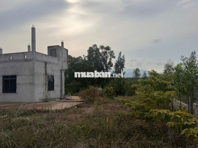 Bán gấp 3 lô đất trồng cây cạnh nhau, mỗi lô ~22,989 m2, Hàm Tân, BT