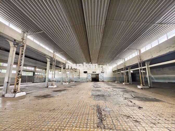 Kho 2500m2 - Trần Văn Dư Tân Bình