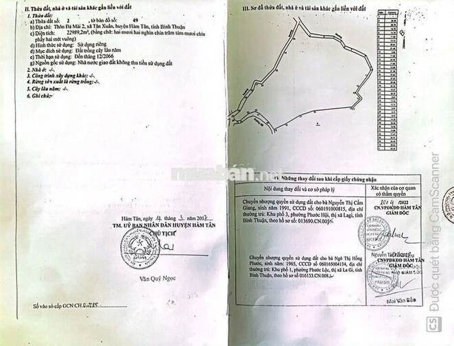 Bán gấp 3 lô đất trồng cây cạnh nhau, mỗi lô ~22,989 m2, Hàm Tân, BT