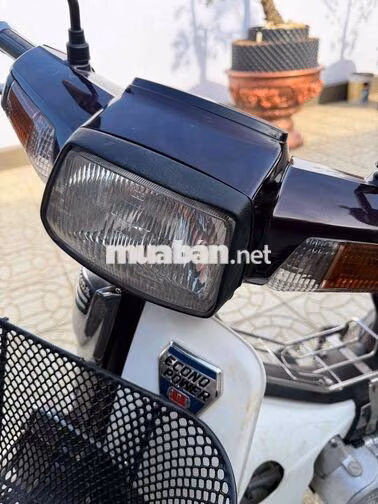 Honda Super Dream 1998 Nâu, Trắng