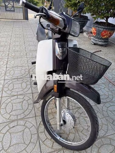 Honda Super Dream 1998 Nâu, Trắng