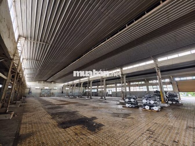 Kho 2500m2 - Trần Văn Dư Tân Bình
