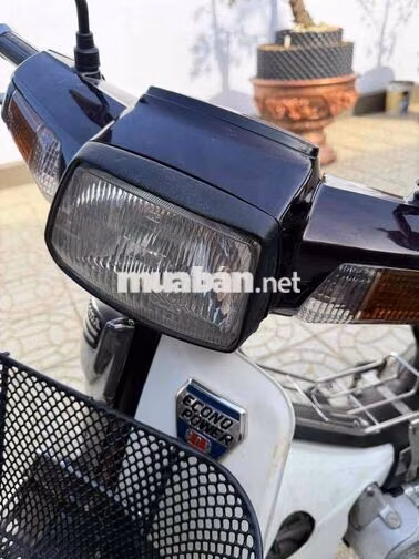 Honda Super Dream 1998 Nâu, Trắng