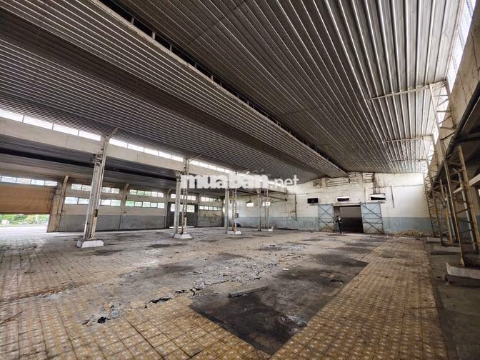 Kho 2500m2 - Trần Văn Dư Tân Bình