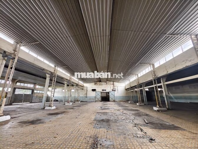 Kho 2500m2 - Trần Văn Dư Tân Bình