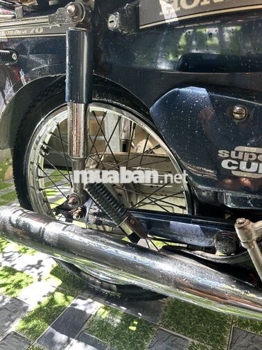 Honda Super Cub 82 - 70cc