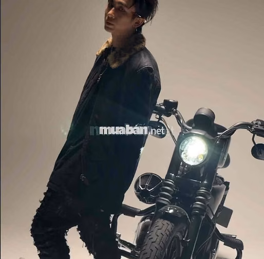 Harley Davidson Iron 883 2015 Đen. Độ full bobber