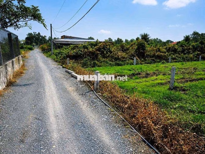 1152m đất vườn có sẳn 300m thổ cư sát đường nhựa 816