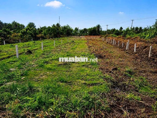 1152m đất vườn có sẳn 300m thổ cư sát đường nhựa 816