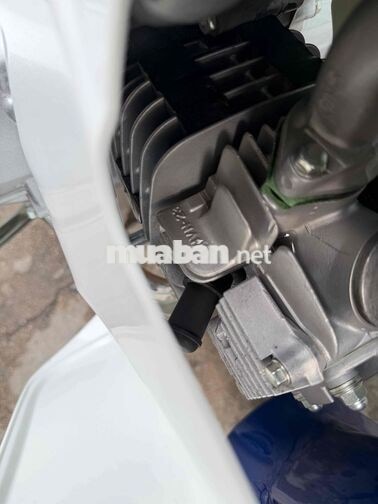 Honda Super Dream 1998 Xanh trắng
