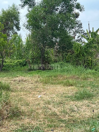 Chính chủ bán đất thổ cư, ngay trung tâm hành chính Hậu Nghĩa, Long An