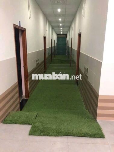 Bán nhà đất 2 mặt tiền đường bêtông, có dòng tiền cho thuê 60tr/tháng