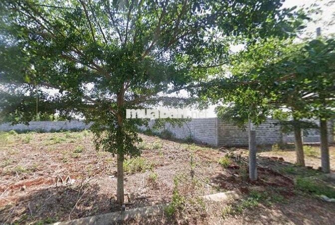 CHÍNH CHỦ CẦN BÁN ĐẤT SÔNG XOÀI CÙ BỊ