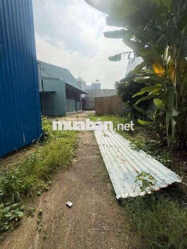 cho thuê mb kinh dang kho xưởng an phú đông quặn 12