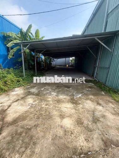 cho thuê mb kinh dang kho xưởng an phú đông quặn 12