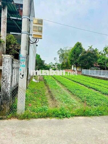 Đất kiệt mai đăng chơn. Sát trường cd nghề. P ngũ hành sơn. Giá đầu tư