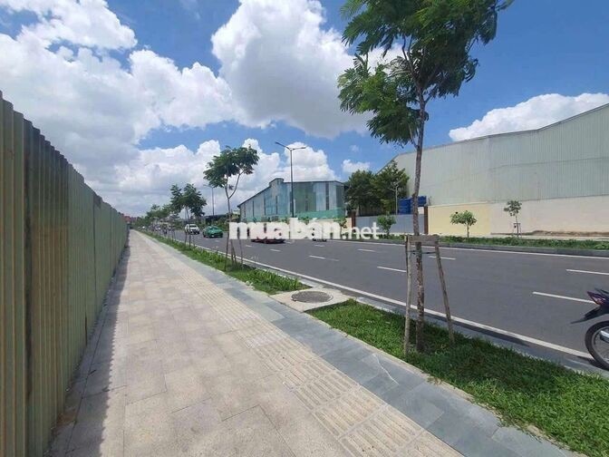  CHO THUÊ MẶT BẰNG KHO 2500mm  SIÊU KHỦNG GẦN GA T3  TÂN BÌNH