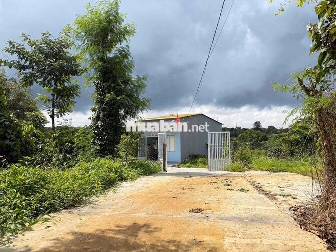 4700m2 CÓ 300m2 THỔ CƯ HẺM ÔTÔ GẦN TRUNG TÂM TP BMT