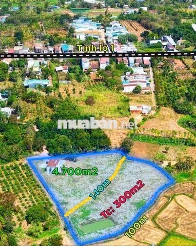 4700m2 CÓ 300m2 THỔ CƯ HẺM ÔTÔ GẦN TRUNG TÂM TP BMT