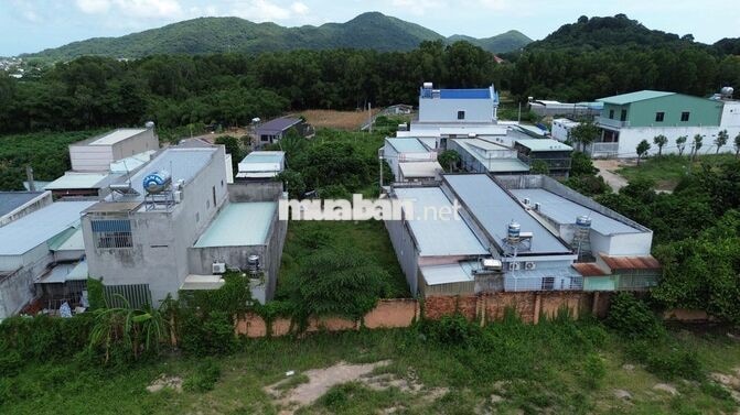 🔥 CHỈ HƠN 1TỶ – SỞ HỮU LÔ ĐẤT 120 M² TẠI XÃ LONG ĐIỀN🔥