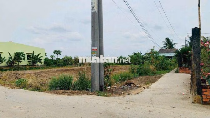 Chính chủ cần bán đất Huyện Tân Trụ, Tỉnh Long An (cũ)