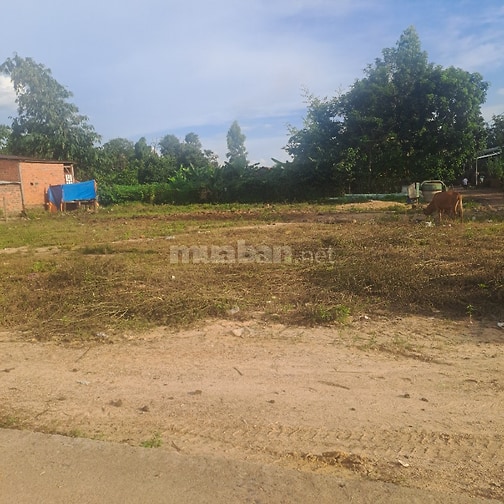 Mình là chủ lô đất cần bán làng tu xã ialau tỉnh gia lai