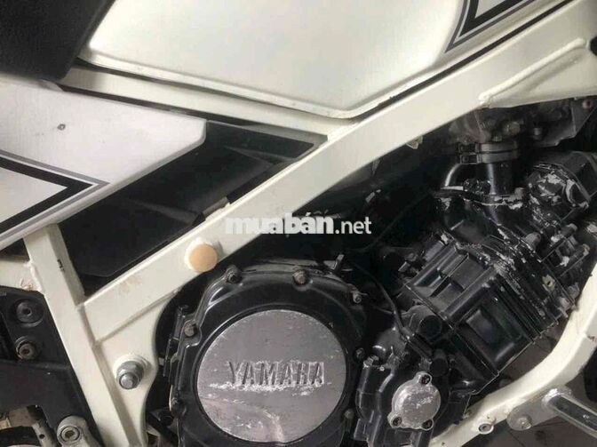 Yamaha FZ750 750cc Trắng