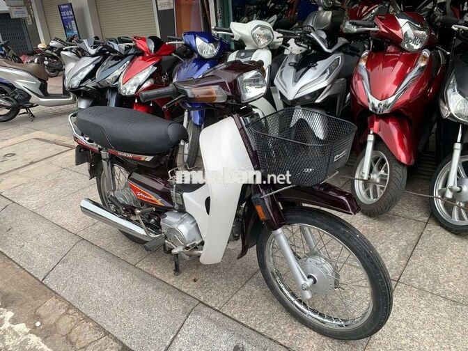 Honda Dream Sandal Boss 2010 Nâu, Trắng