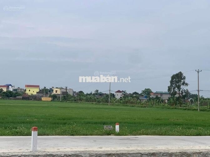 Bán đất Ninh Bình, ngay cao tốc, 2,8 tỷ, 110m2